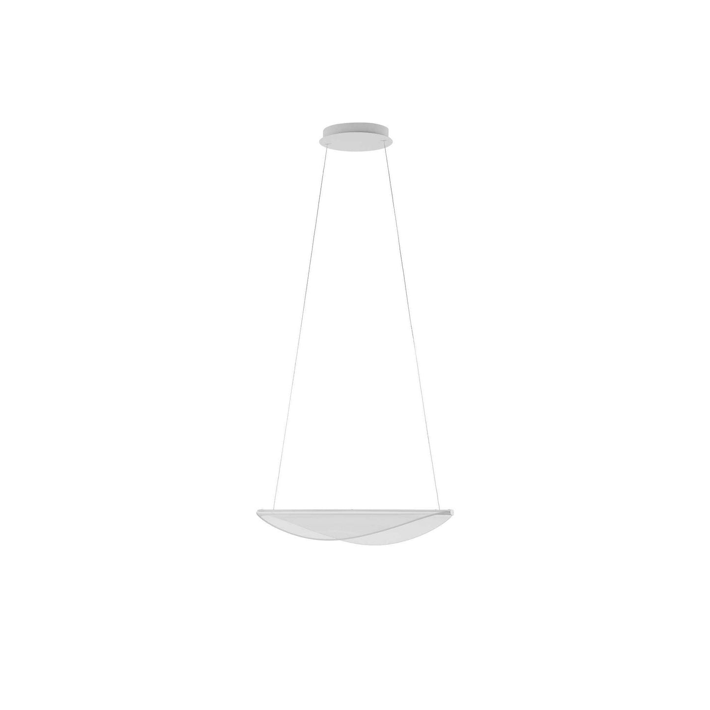 Diphy LED Pendant in White