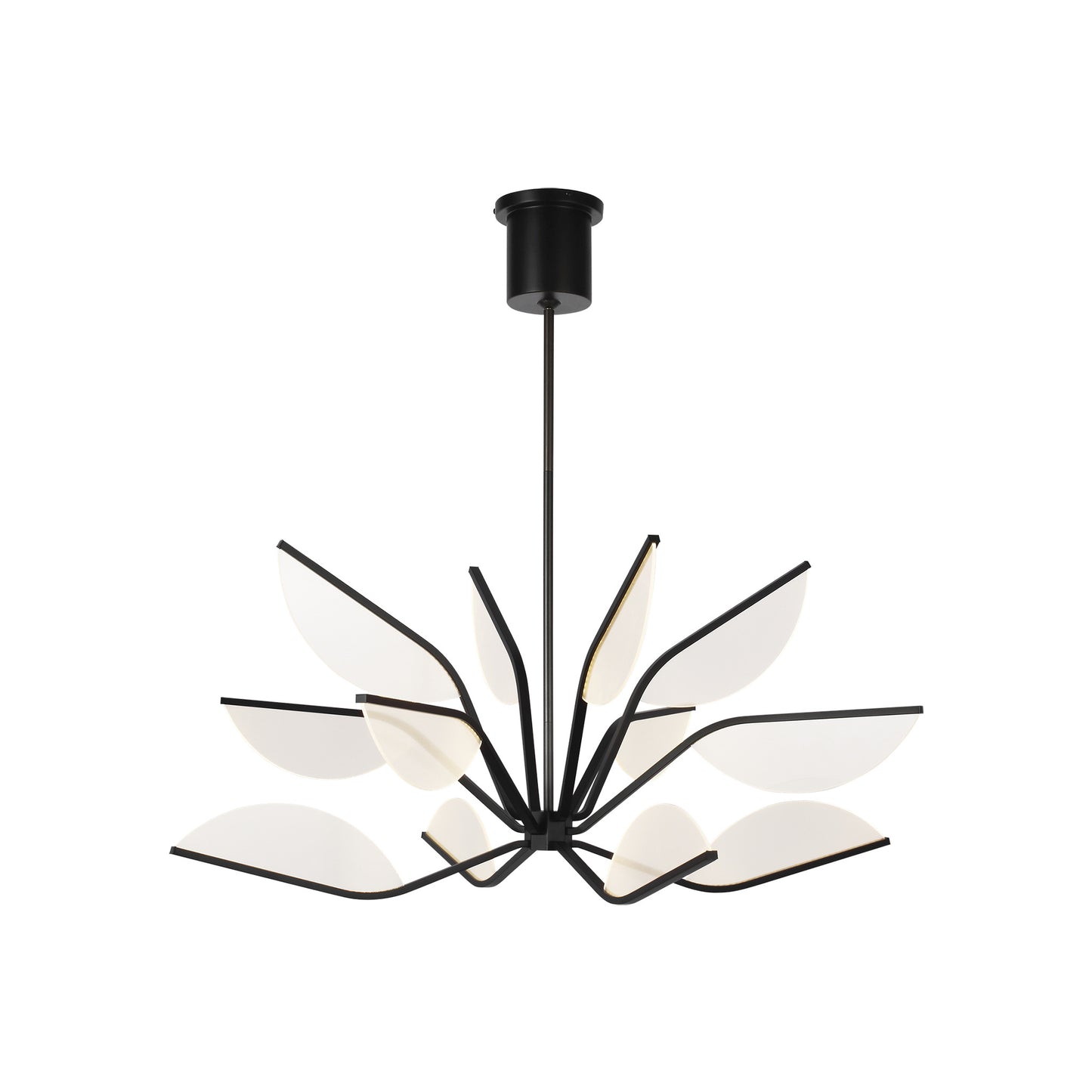 Belterra Chandelier