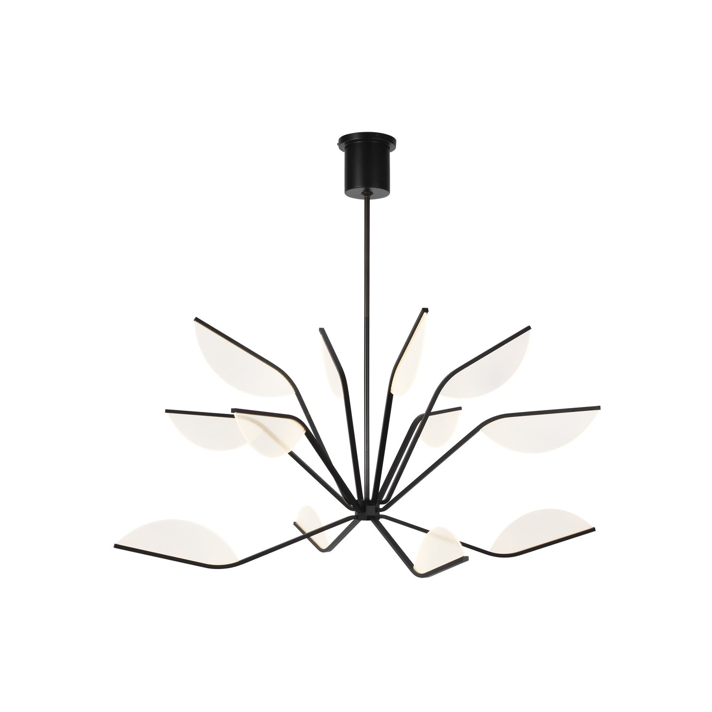 Belterra Chandelier