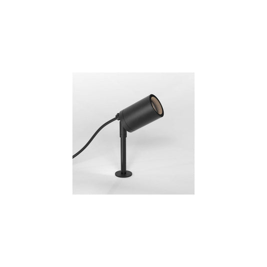 Dartmouth Spike Spotlight