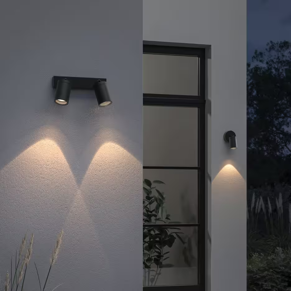 Dartmouth Single Spotlight