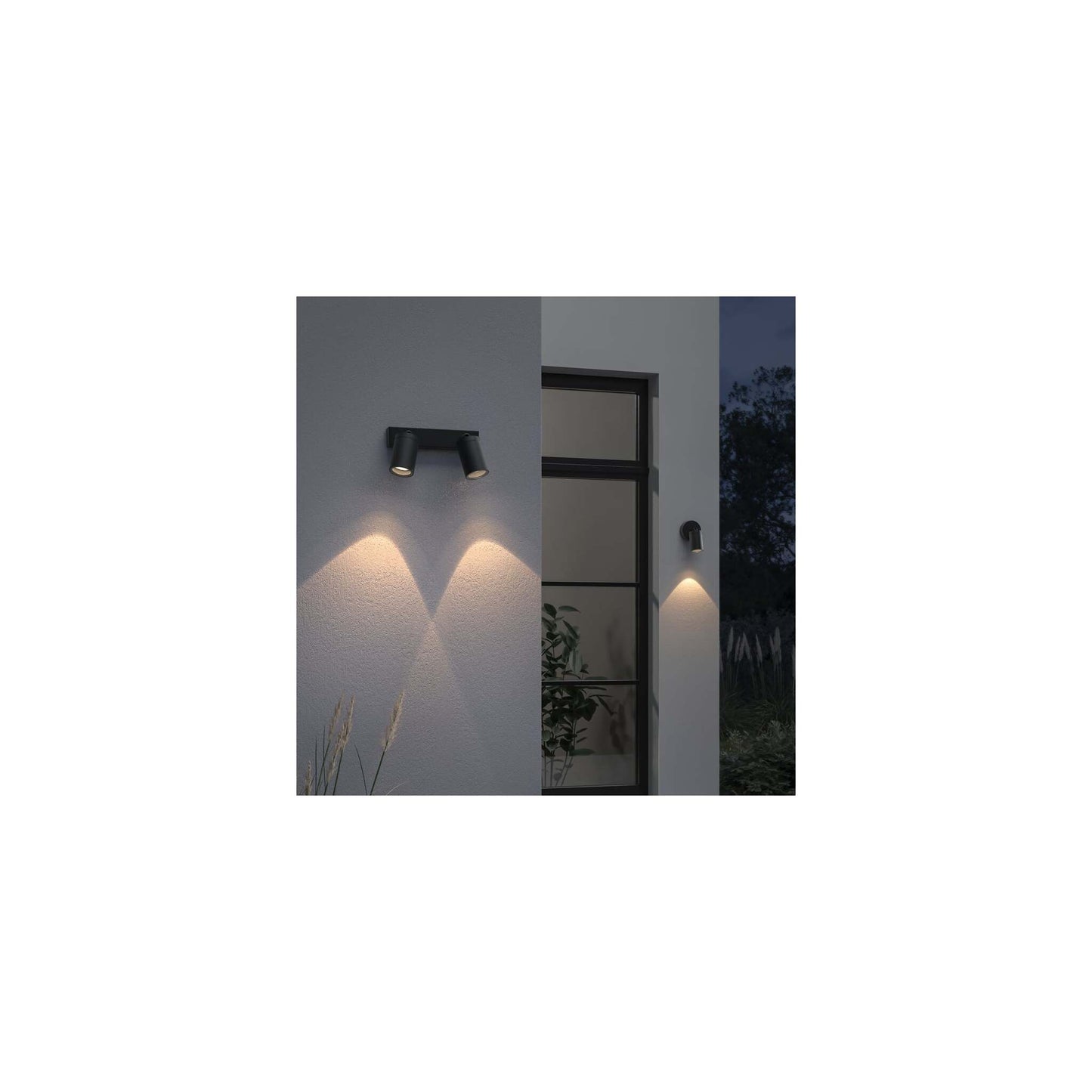Dartmouth Single Spotlight