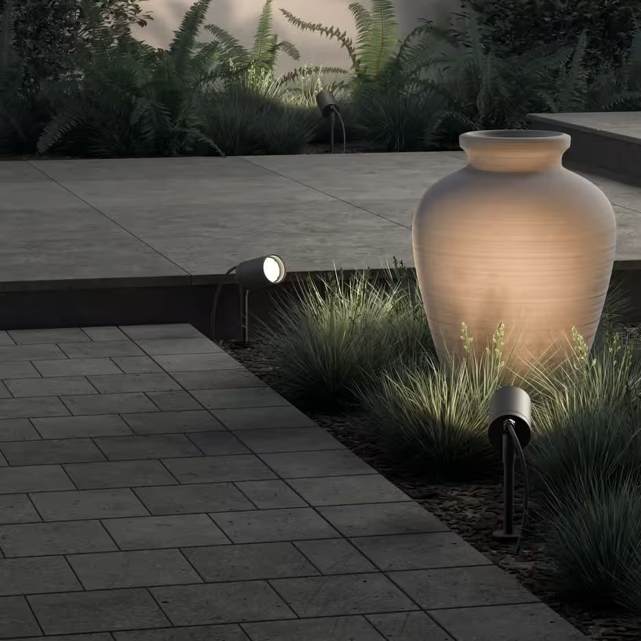 Dartmouth Spike Spotlight