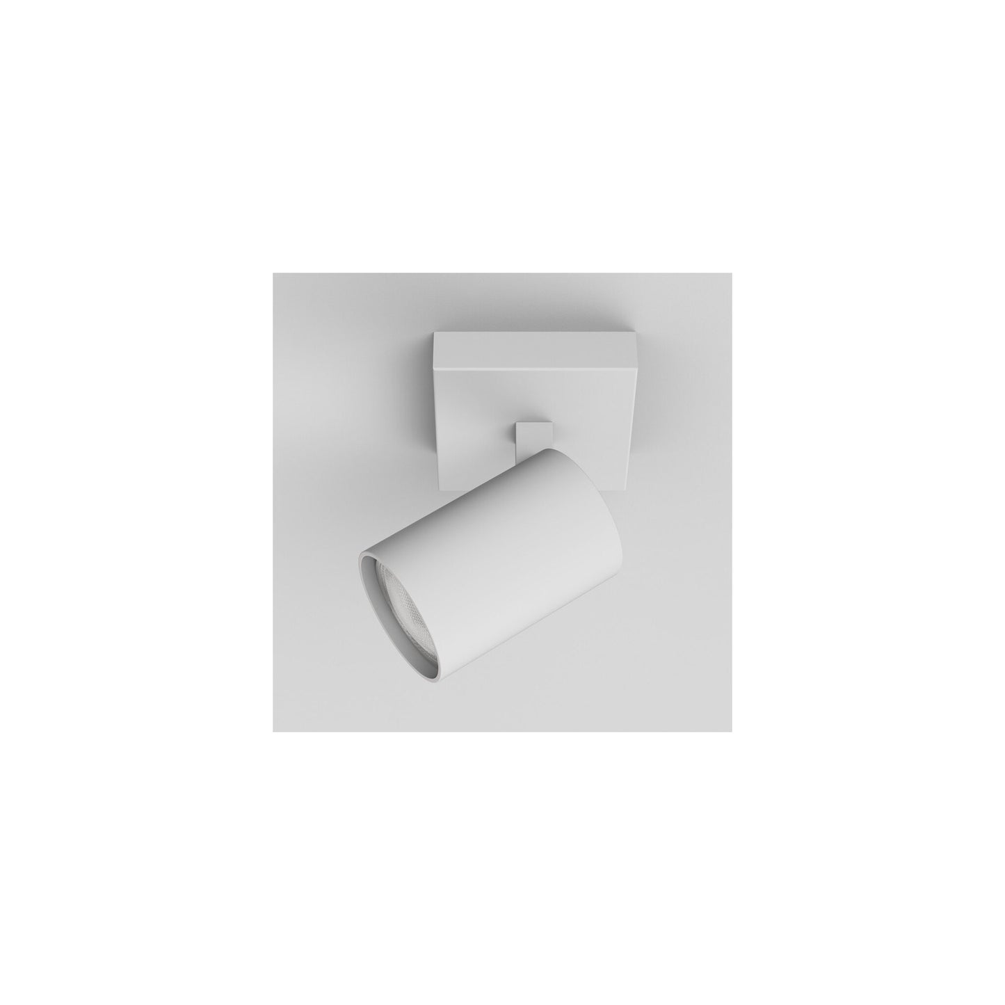 Ascoli Single Wall or Ceiling Spotlight