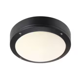 Desi 22 Outdoor Ceiling Light