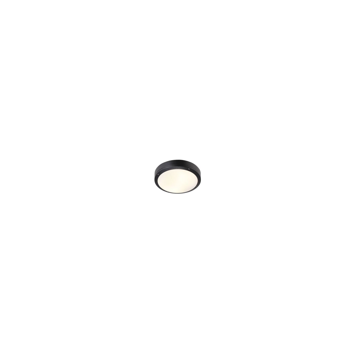 Desi 28 Outdoor Ceiling Light
