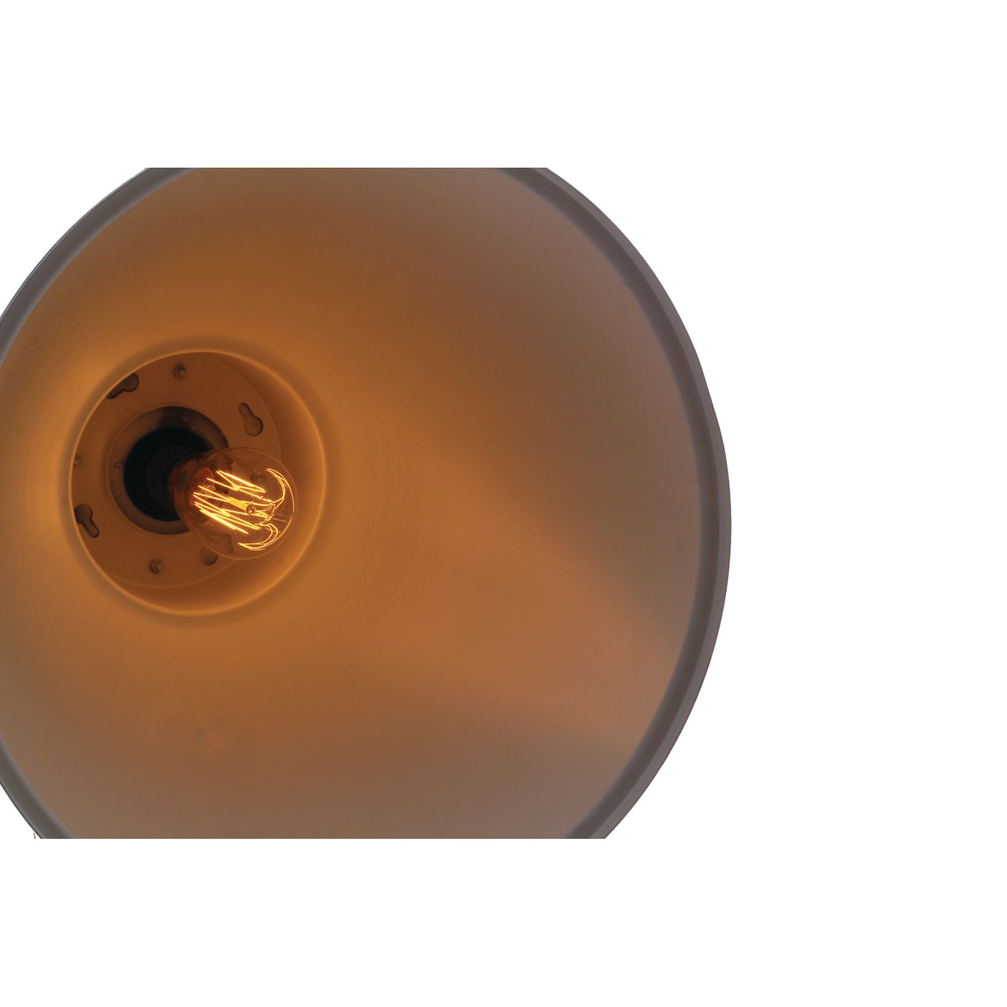 Danicaans 250mm Globe Pendant with Powder Coated Aluminium
