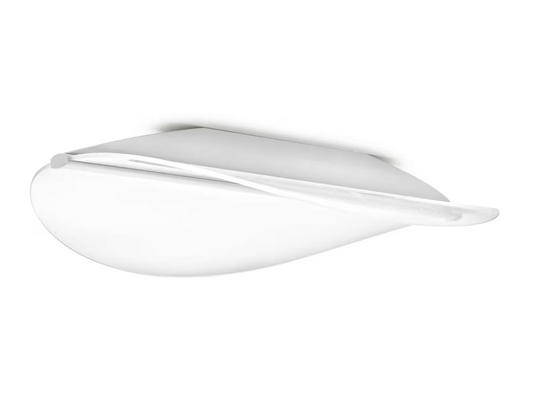 Diphy Wall & Ceiling Light