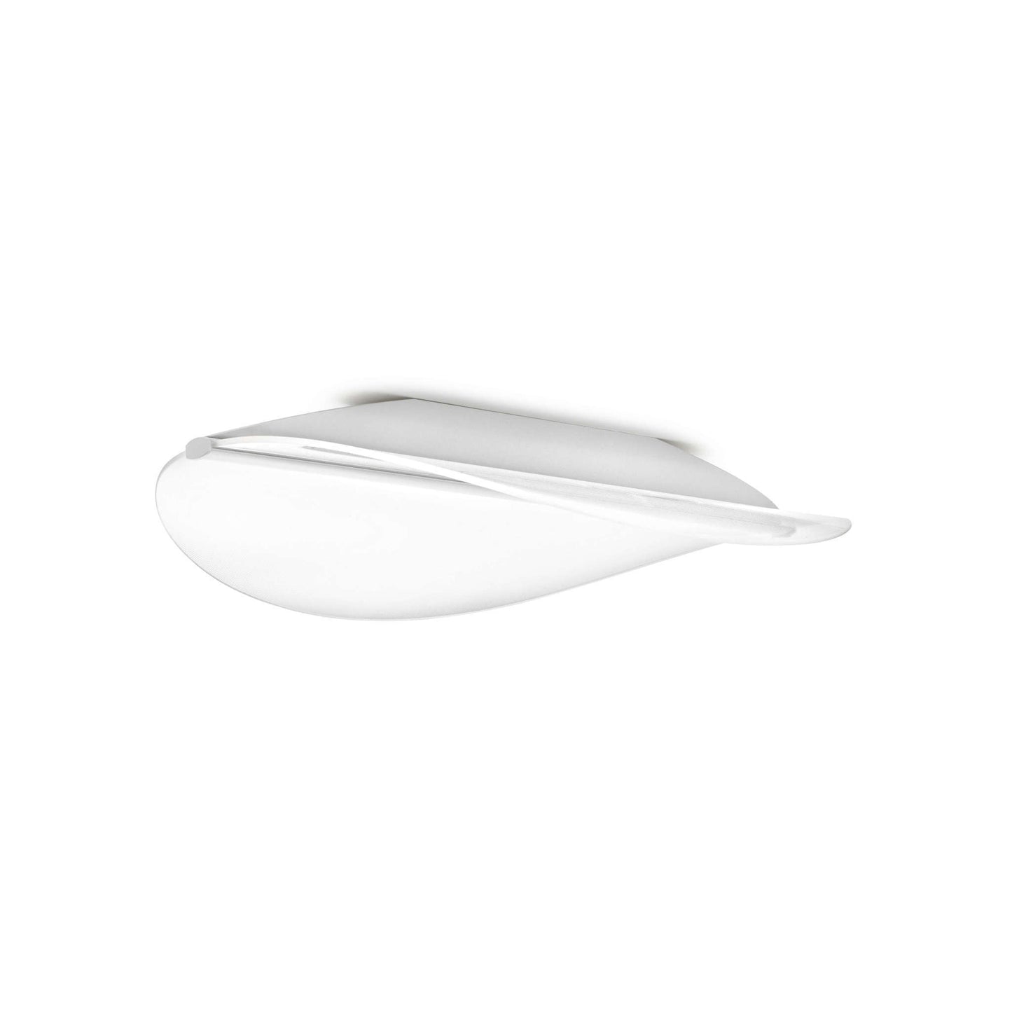 Diphy LED Wall & Ceiling Light in White