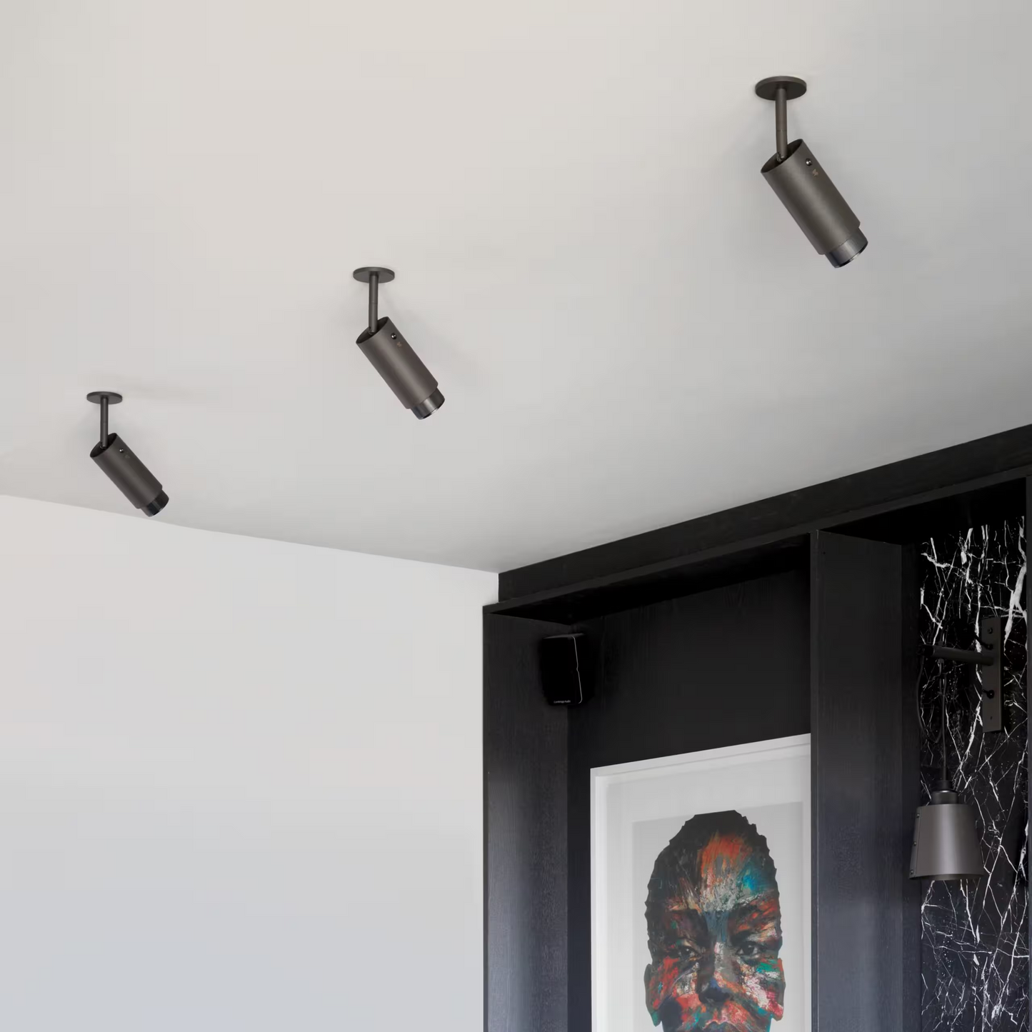 Exhaust Ceiling Spotlight