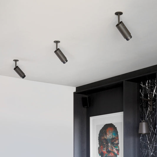 Exhaust Ceiling Spotlight