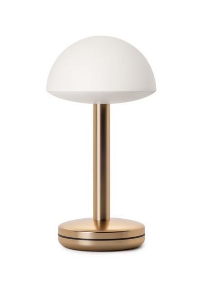 Humble Bug Portable Table Lamp