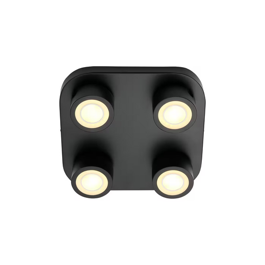 Clyde 4-Spot Ceiling Light