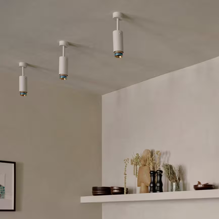 Exhaust Ceiling Spotlight
