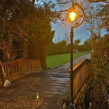 Harte Goose Neck Outdoor Post Light