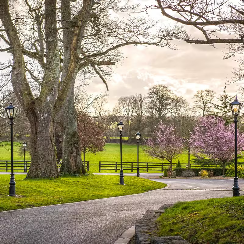 Victorian Traditional Cast Iron Lamp Post 3M