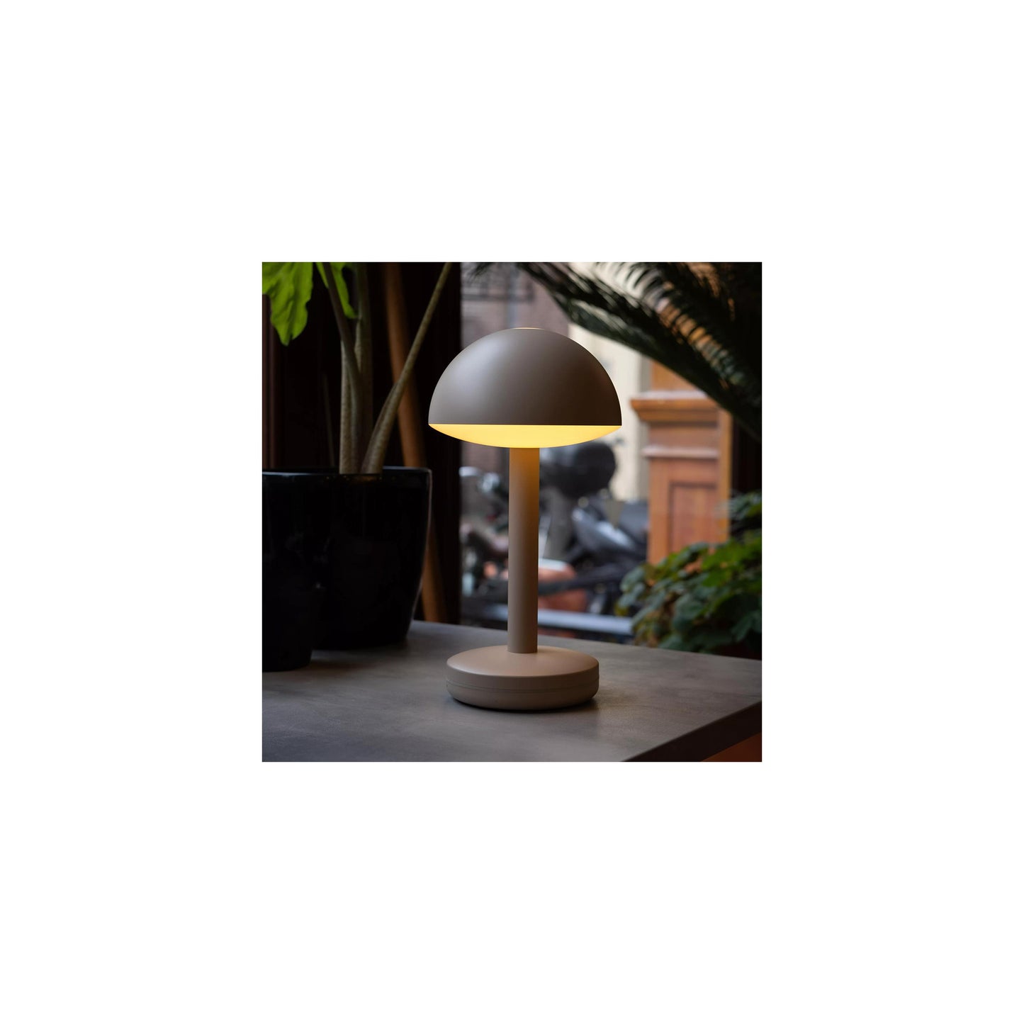 Bug Table Lamp