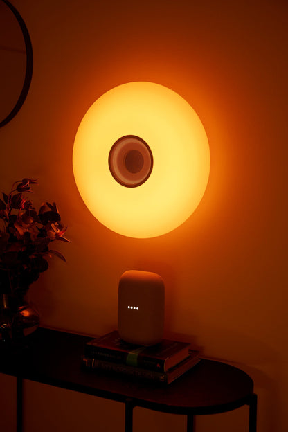 Djay Smart Color Ceiling light