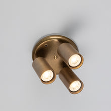 Evanston Three Light Ceiling Spotlight