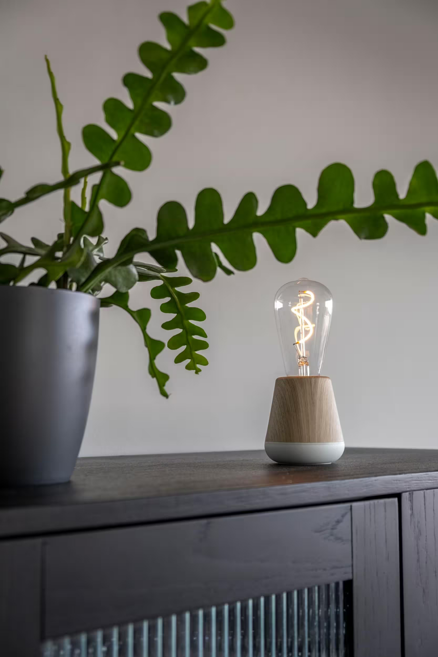 Humble One Portable Table Lamp