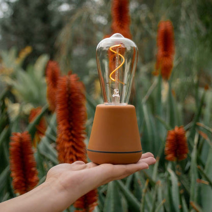 Humble Accessoiries ST64 PET Bulb