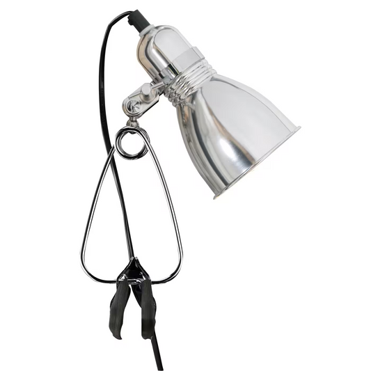 Photo Clamp Lamp in Silver