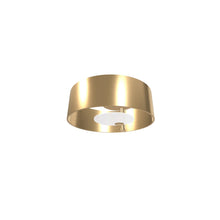 Masiero Sound Ceiling Light