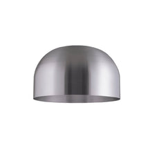 Buster and Punch Forked Light Shade