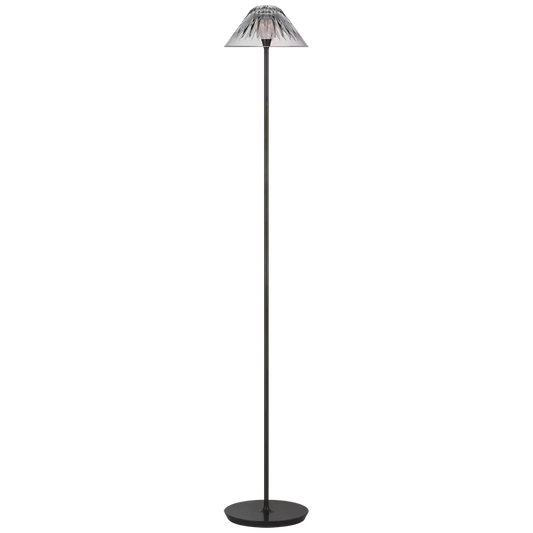 Blaze 55" Floor Lamp