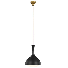 Visual Comfort Lucerne Pendant