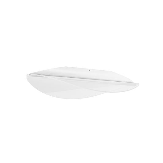 Diphy LED Wall & Ceiling Light in White