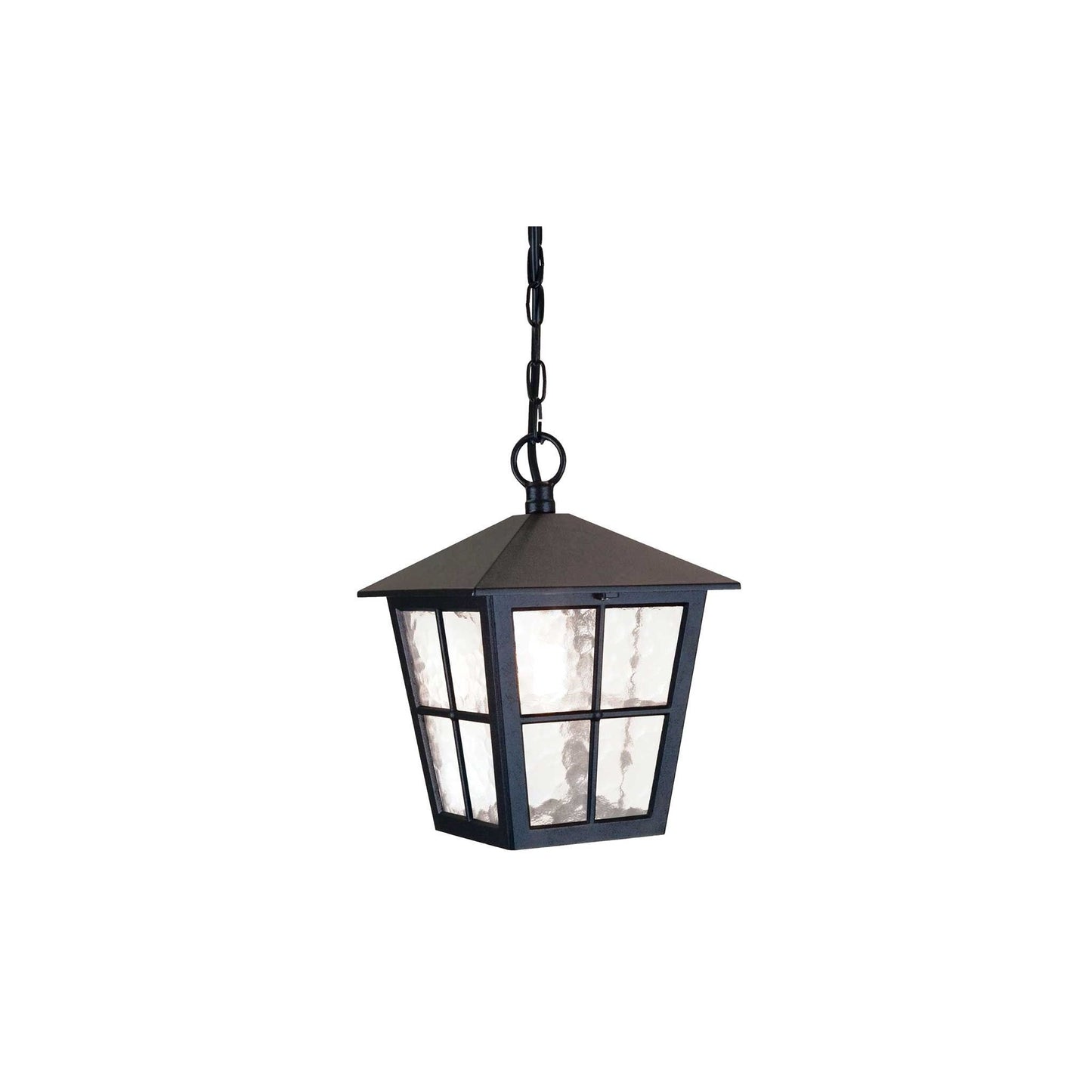 Canterbury 1-Light Chain Lantern in Black
