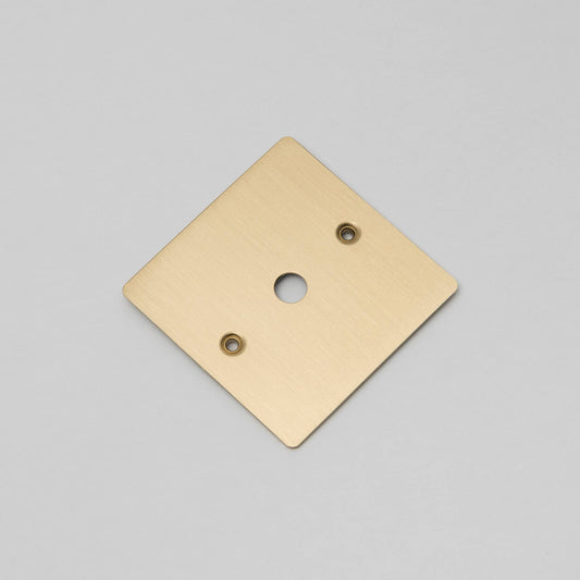 Buster and Punch 1G Wall Plate