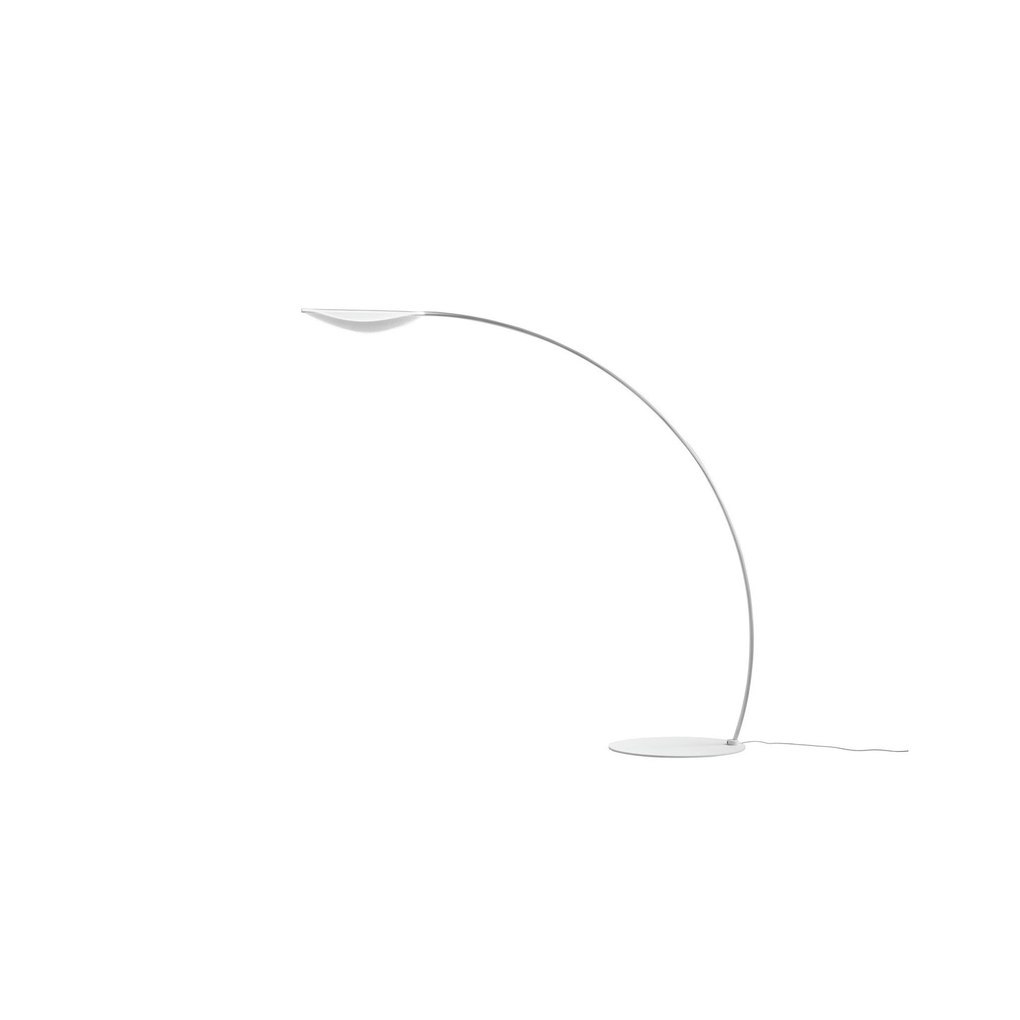Diphy LED Floor Lamp in White
