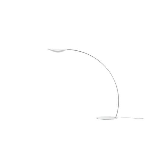 Diphy LED Floor Lamp in White