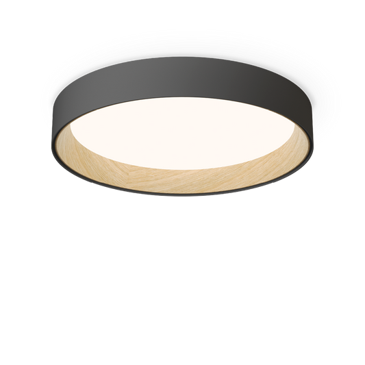 Duo 4872 4000K Ceiling Light