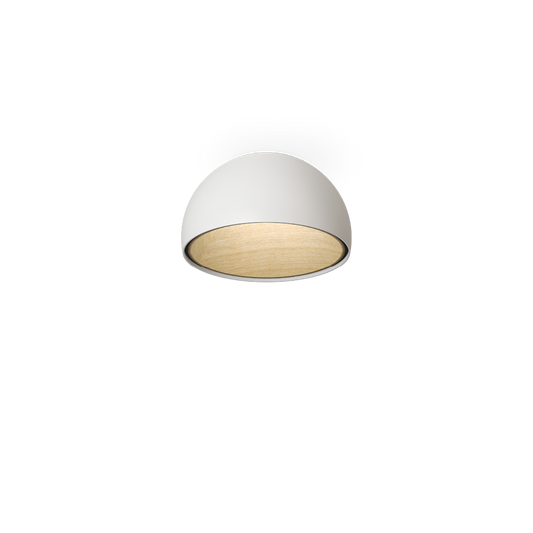 Duo 4874 2700K Ceiling Light