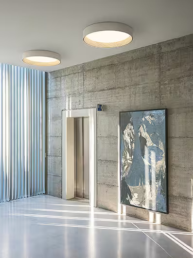 Duo 4872 2700K Ceiling Light
