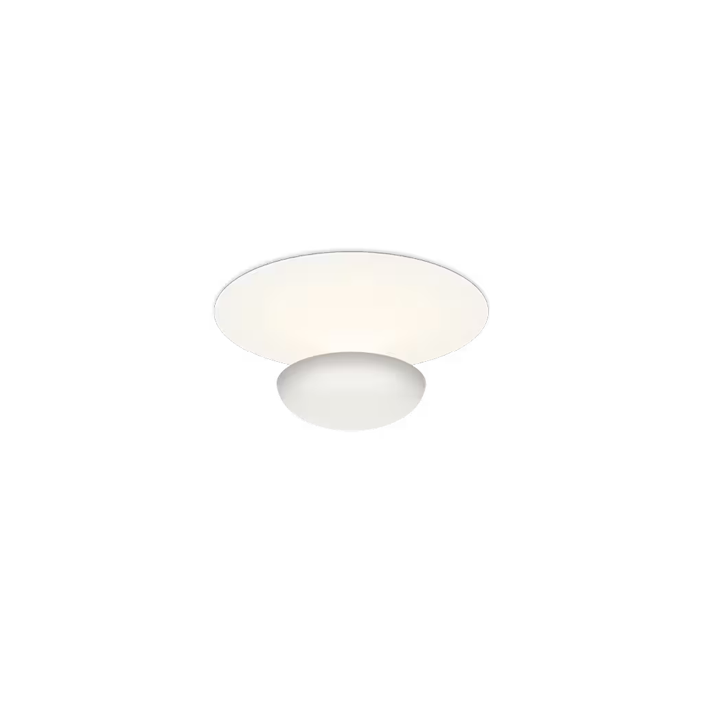 Funnel LED Ceiling or Wall Light