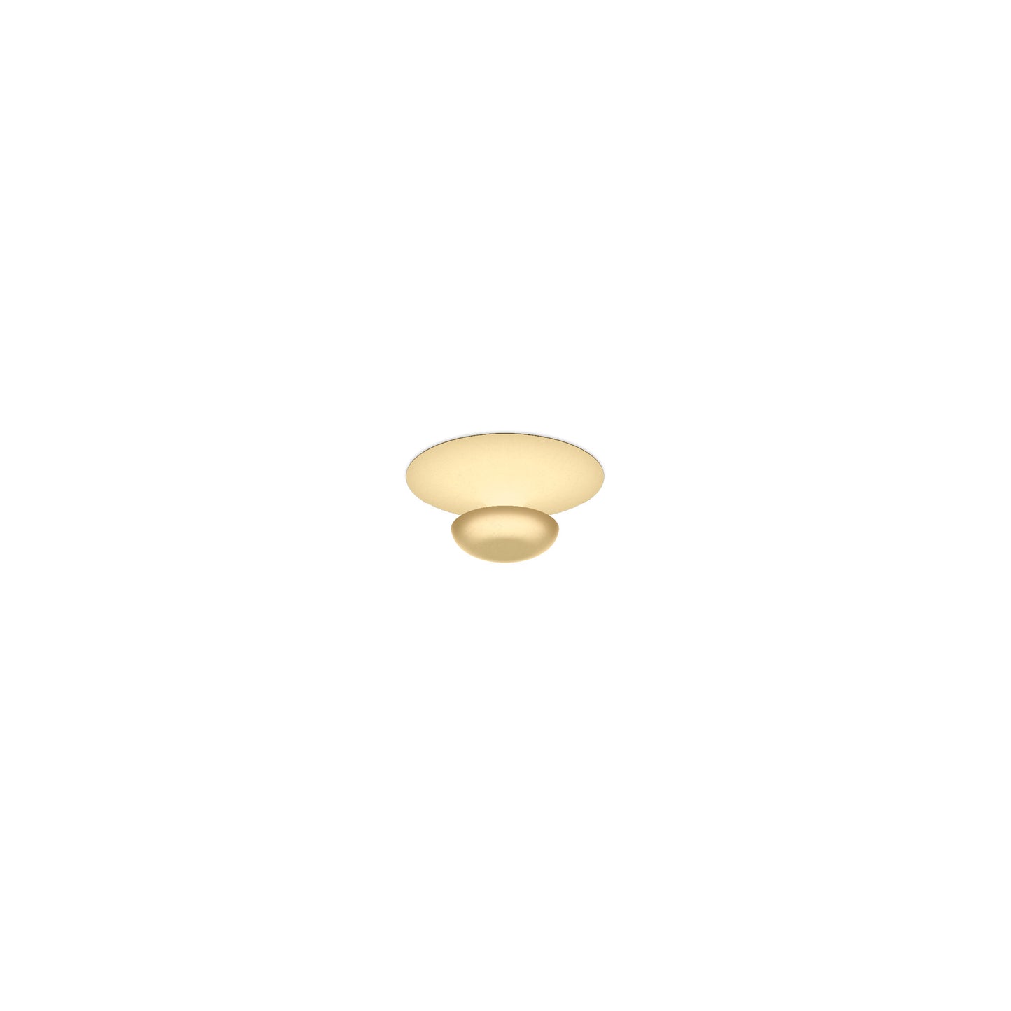 Funnel LED Ceiling or Wall Light