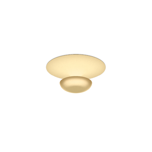 Funnel LED Ceiling or Wall Light