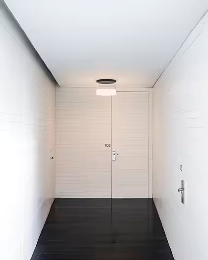 Guise Ceiling Light