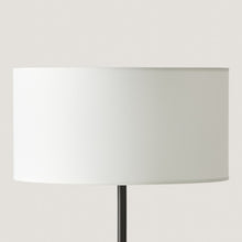 Aromas Hedra Light Shade