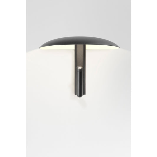Konoha LED Wall Light