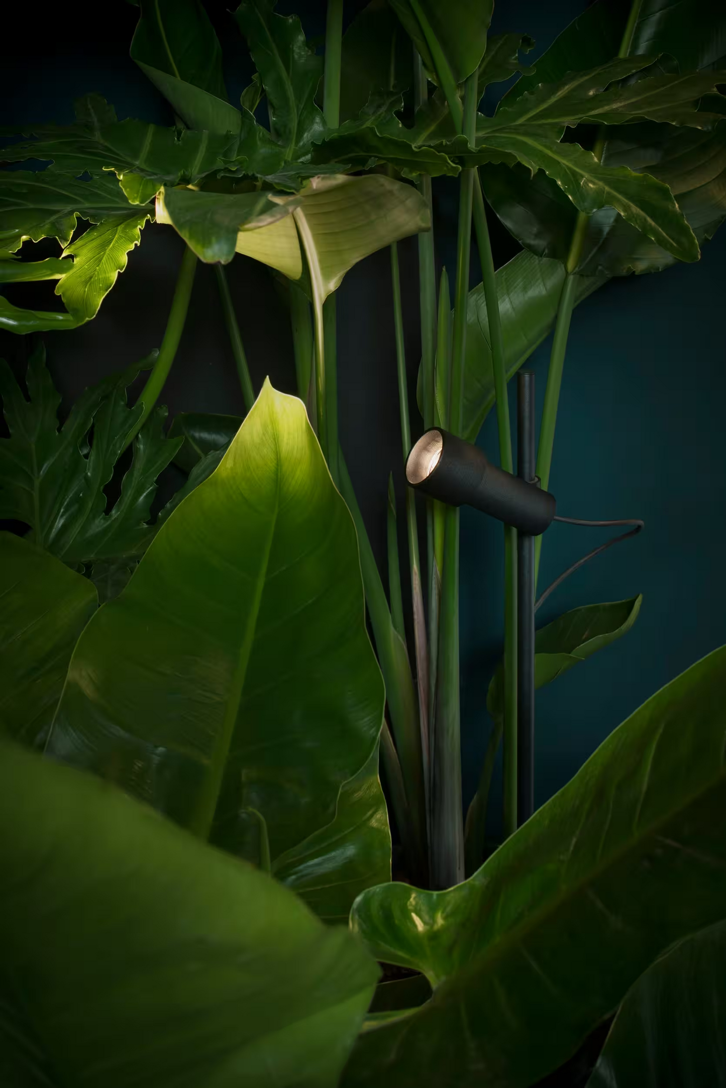 Palosanto B Outdoor Bollard