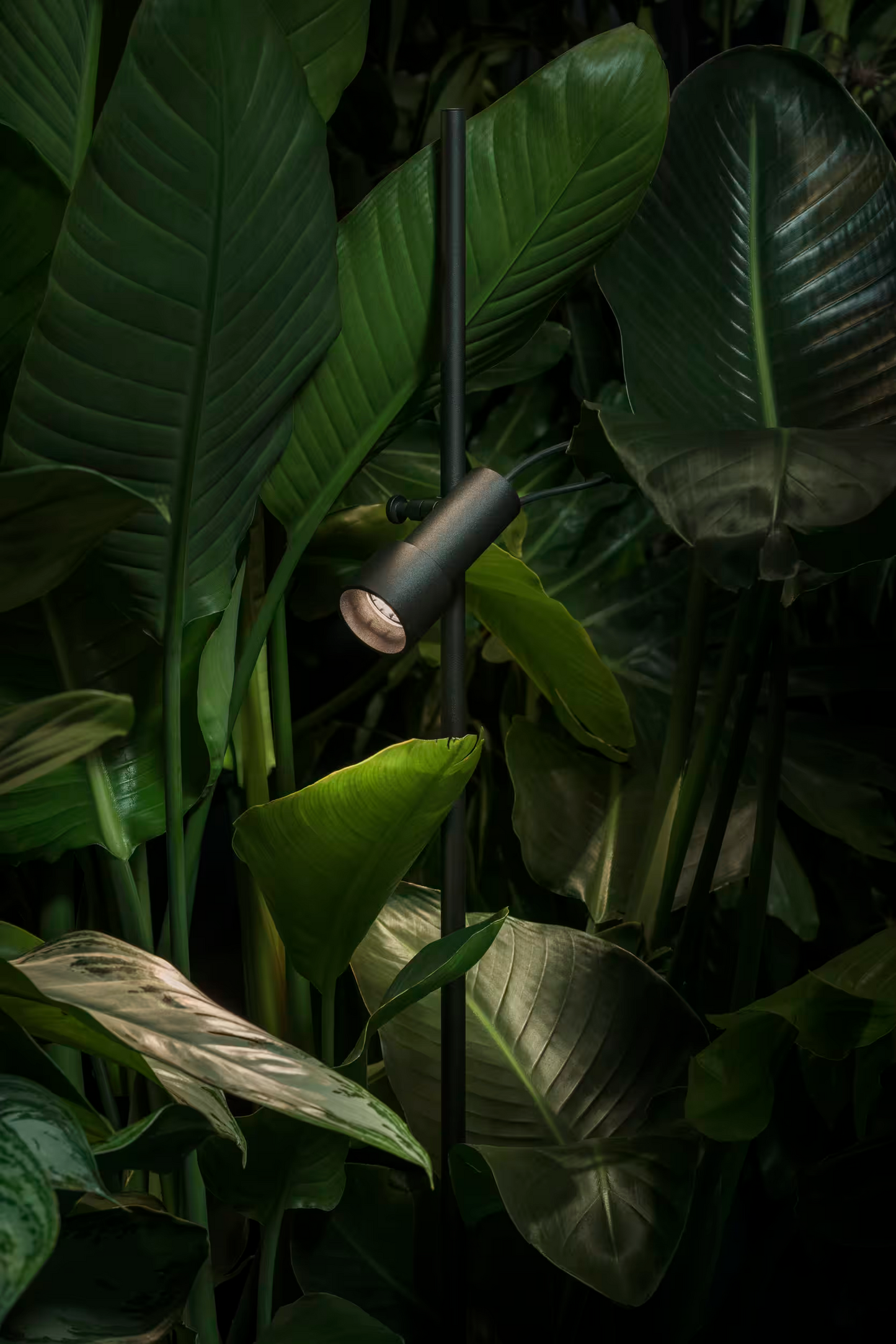 Palosanto B Outdoor Bollard