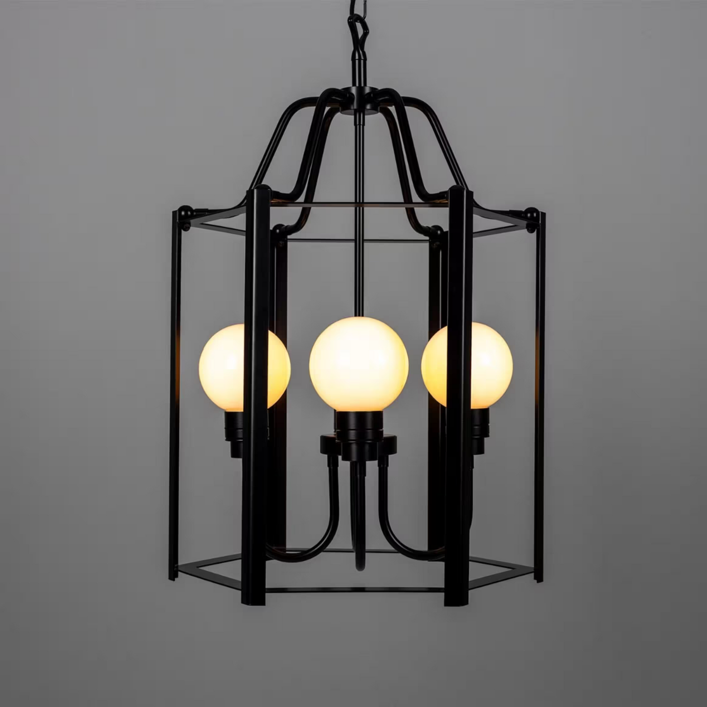 Portroe 4-Light Outdoor Hanging Lantern