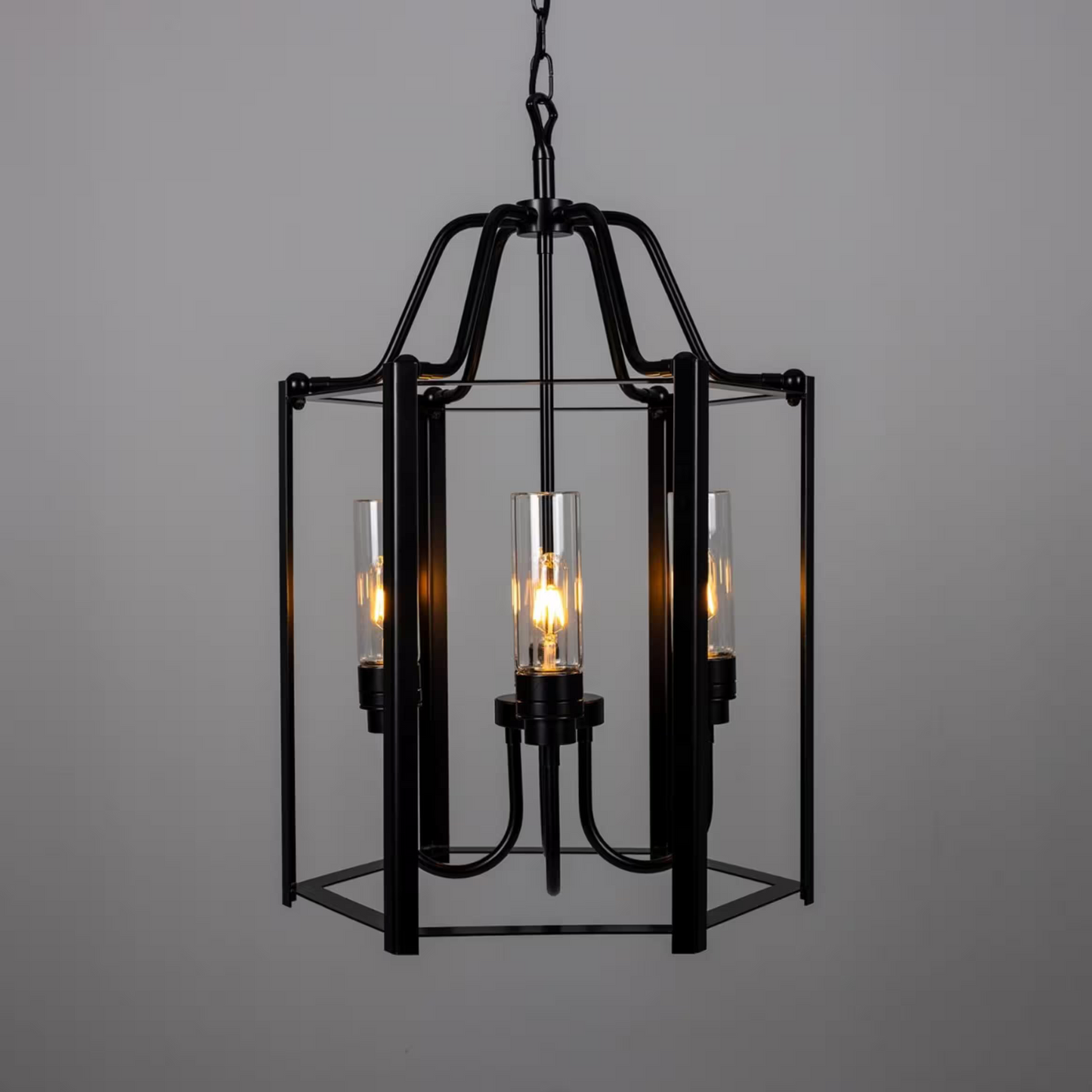 Portroe 4-Light Outdoor Hanging Lantern