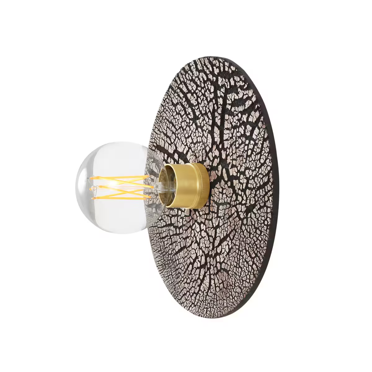 Bog Oak Organic Ceramic Disc Wall Light