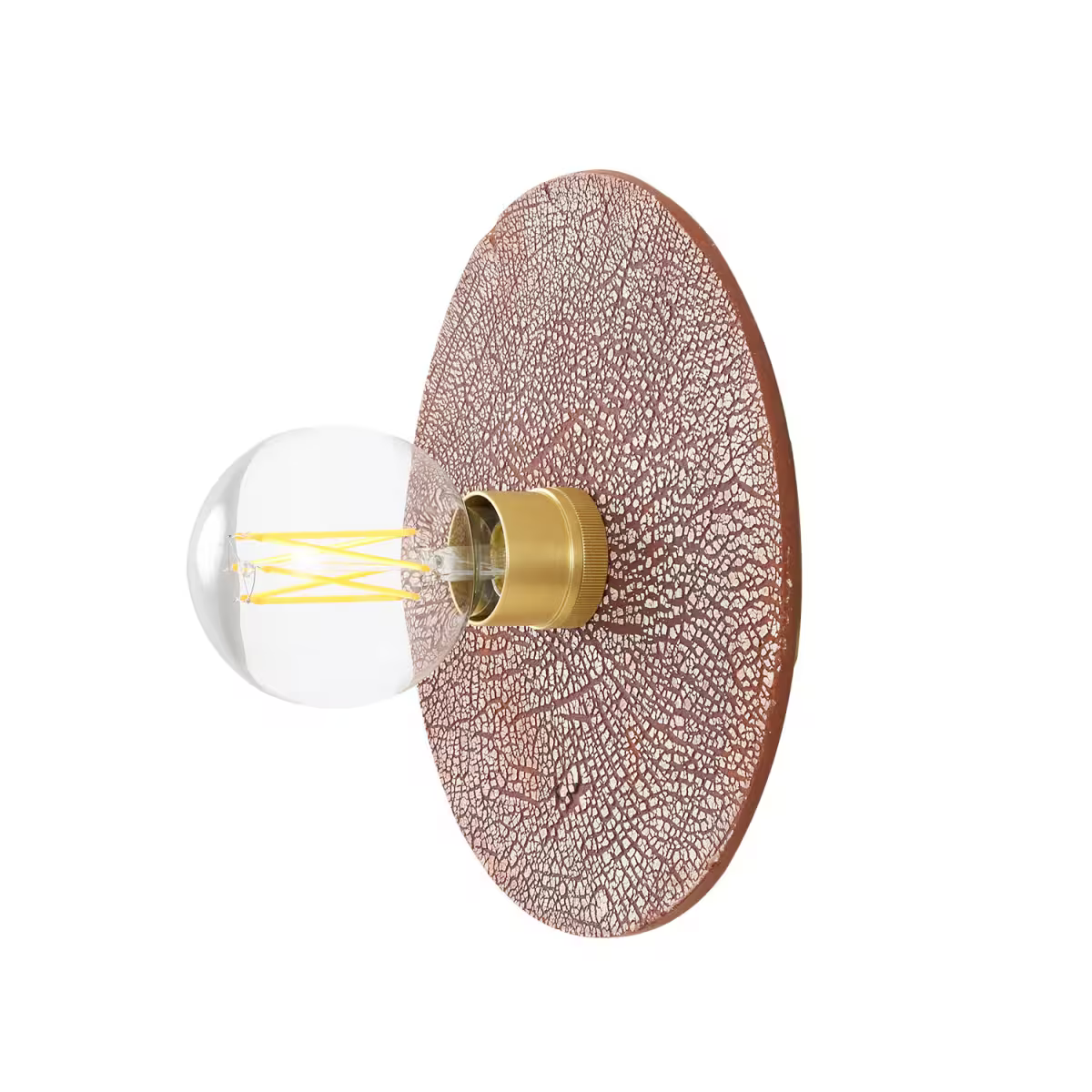 Bog Oak Organic Ceramic Disc Wall Light